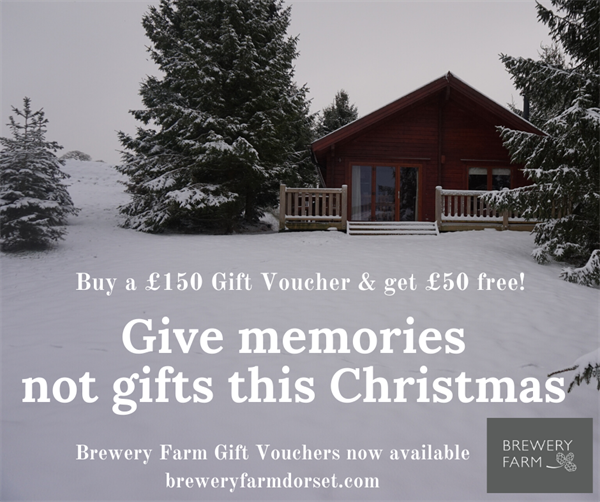 Give memories not gifts this Christmas! 
