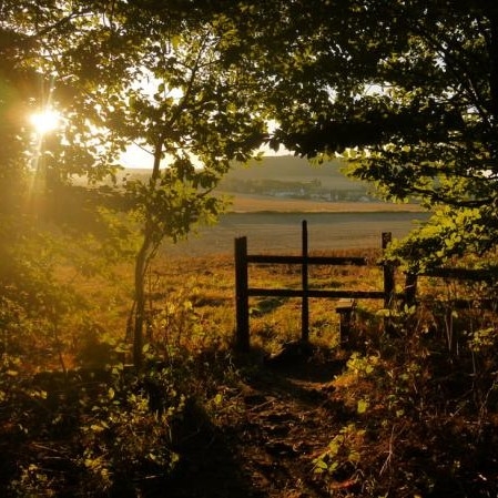 Our campsite overlooks the glorious Dorset countryside