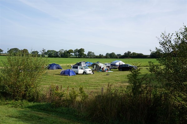 Peaceful and relaxed camping 