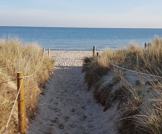 Sand dunes at Studland